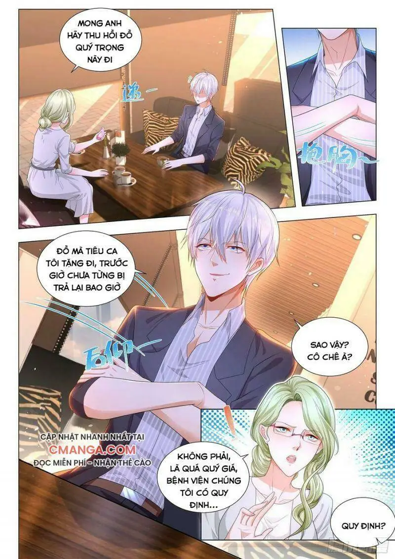 Chapter 184