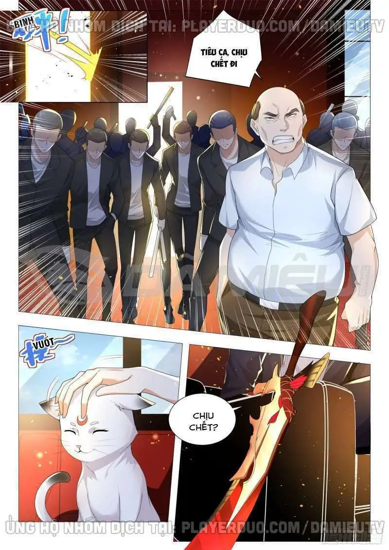 Chapter 171