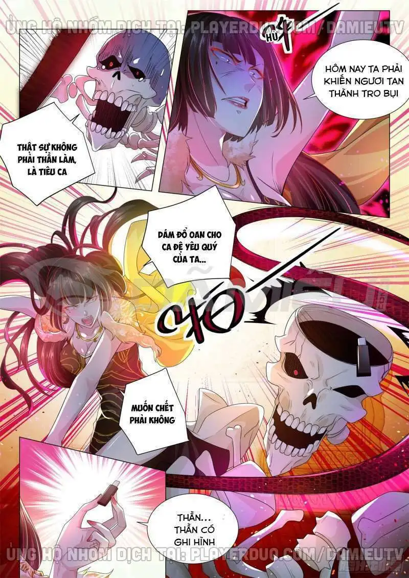 Chapter 166