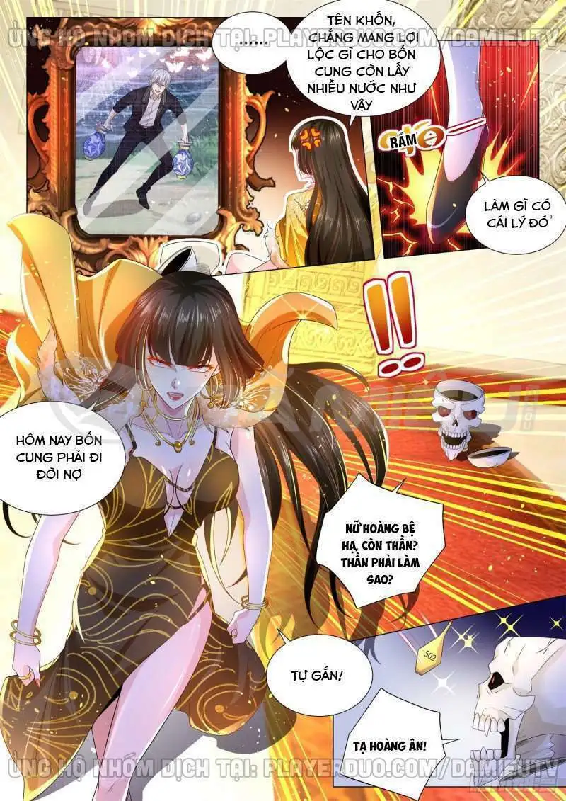 Chapter 166