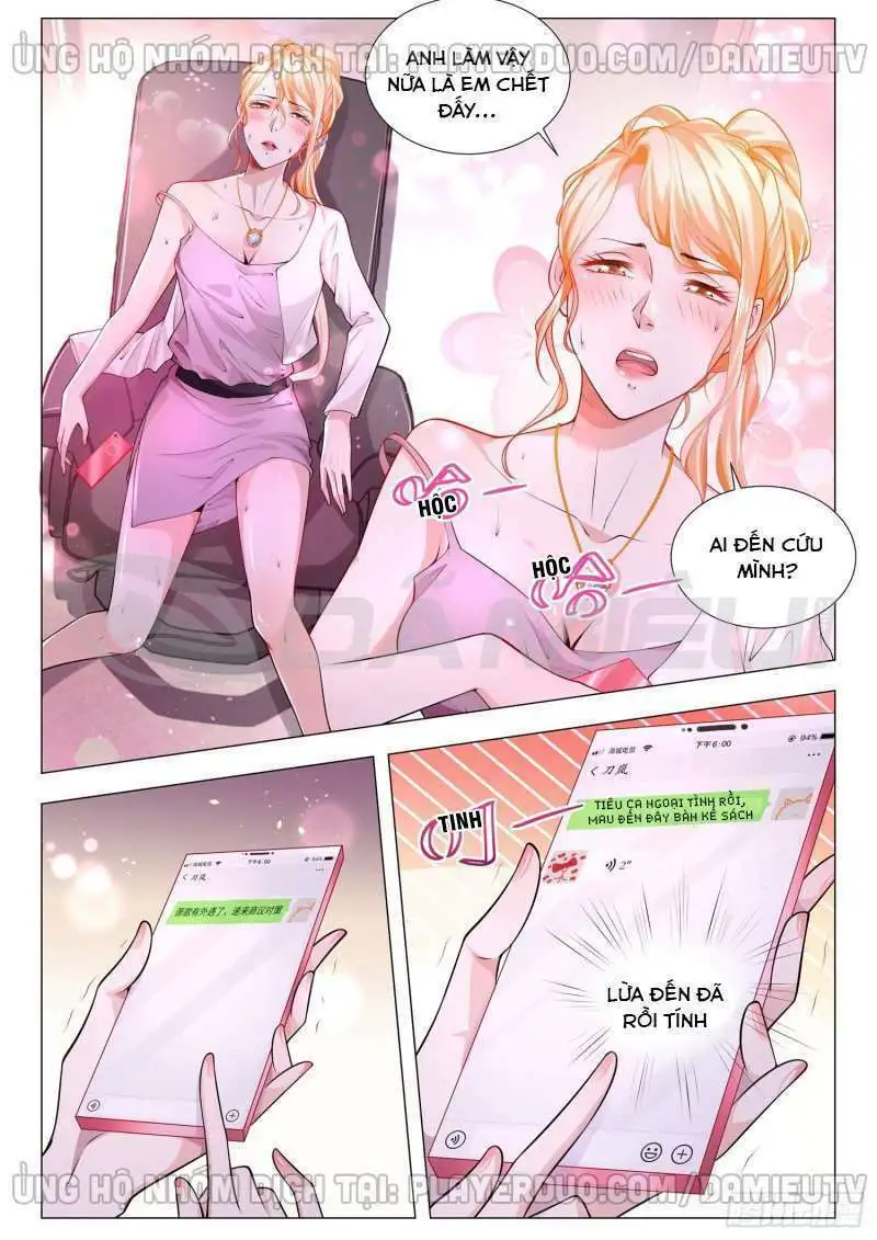Chapter 166