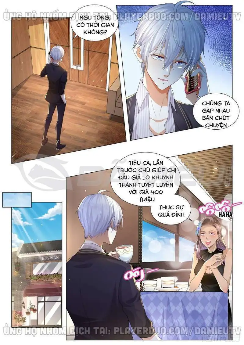 Chapter 162
