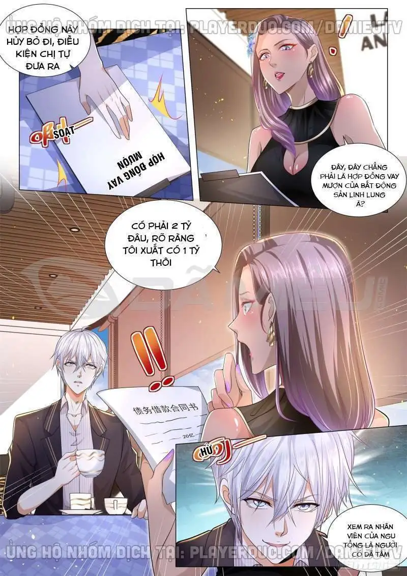 Chapter 162