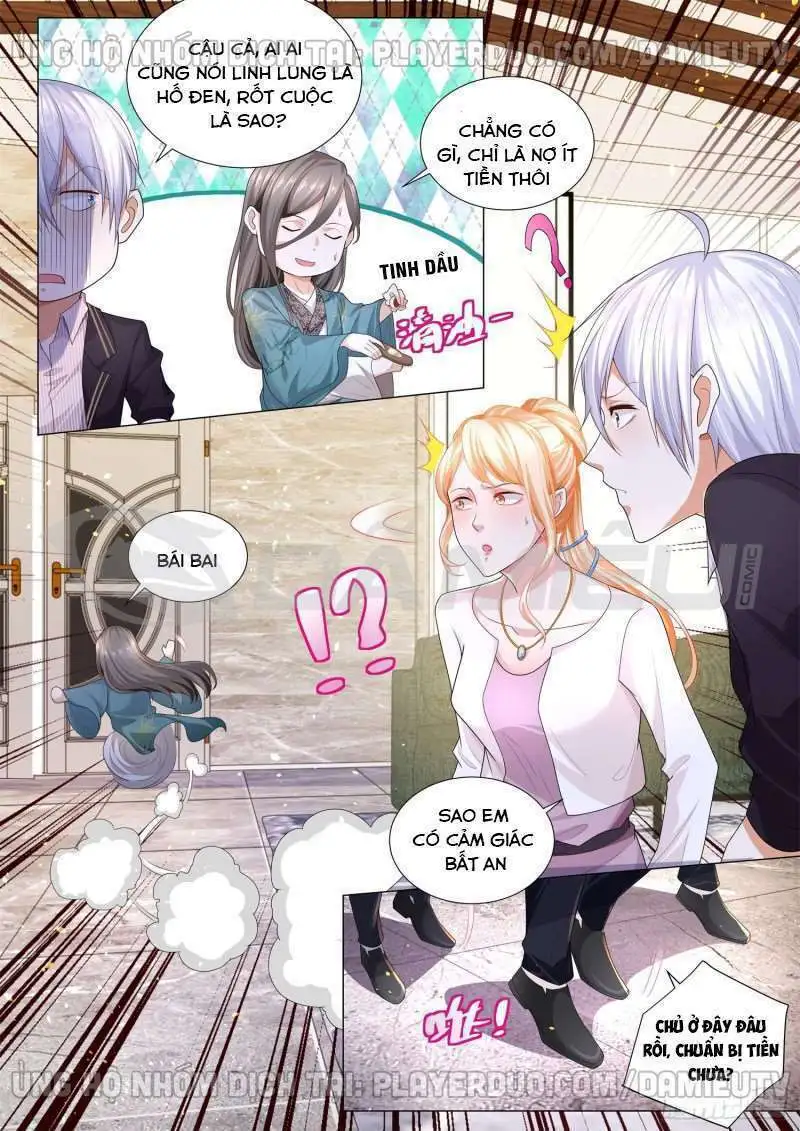 Chapter 161