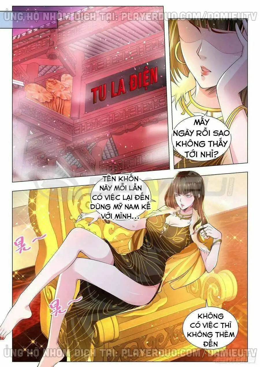 Chapter 146