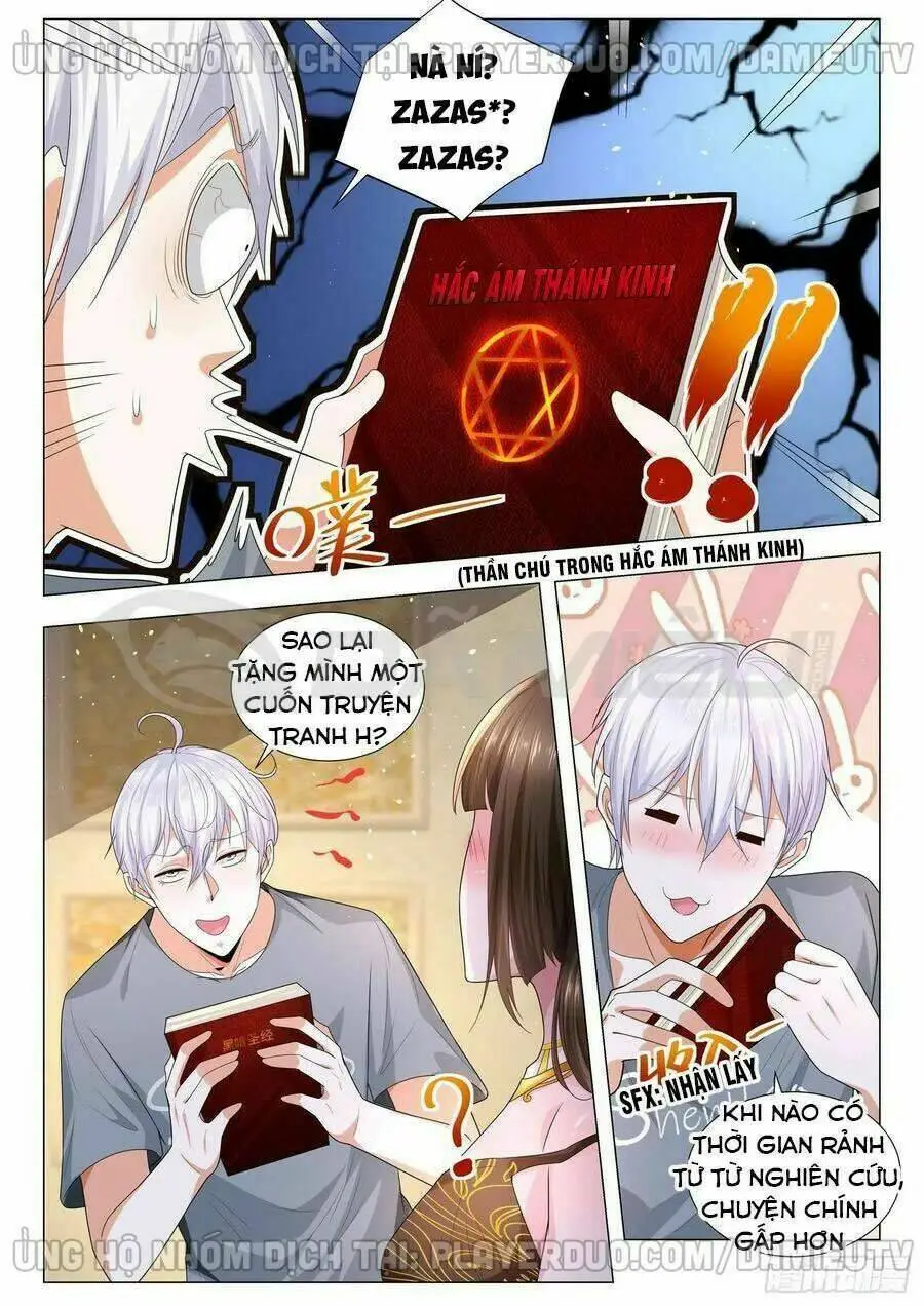 Chapter 146