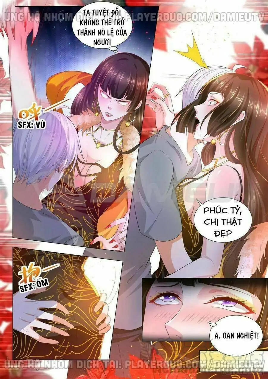 Chapter 146