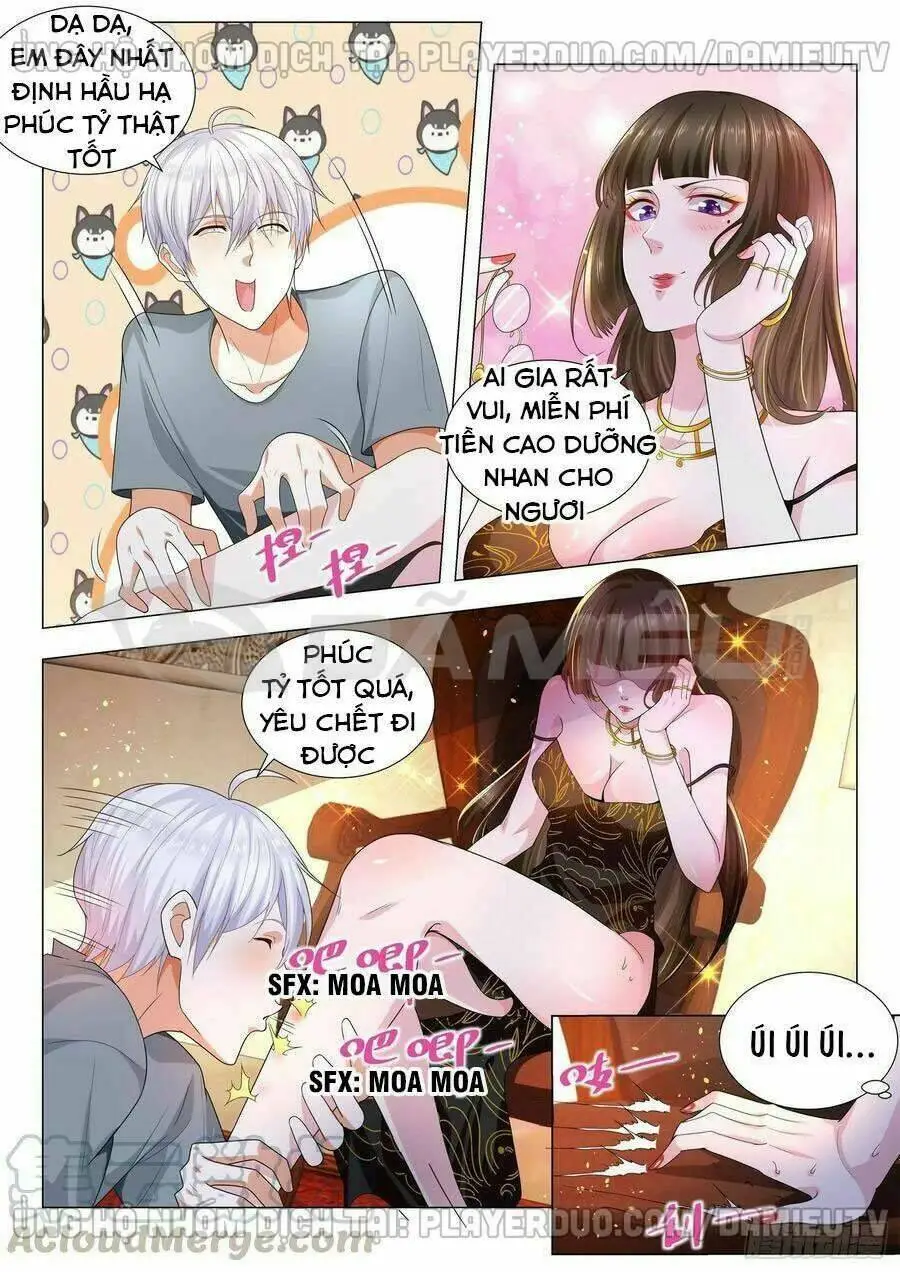Chapter 146