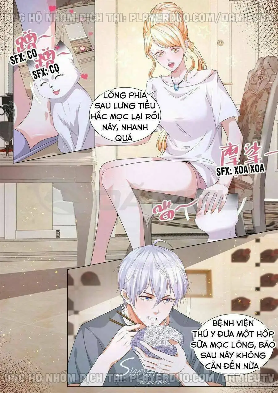 Chapter 145
