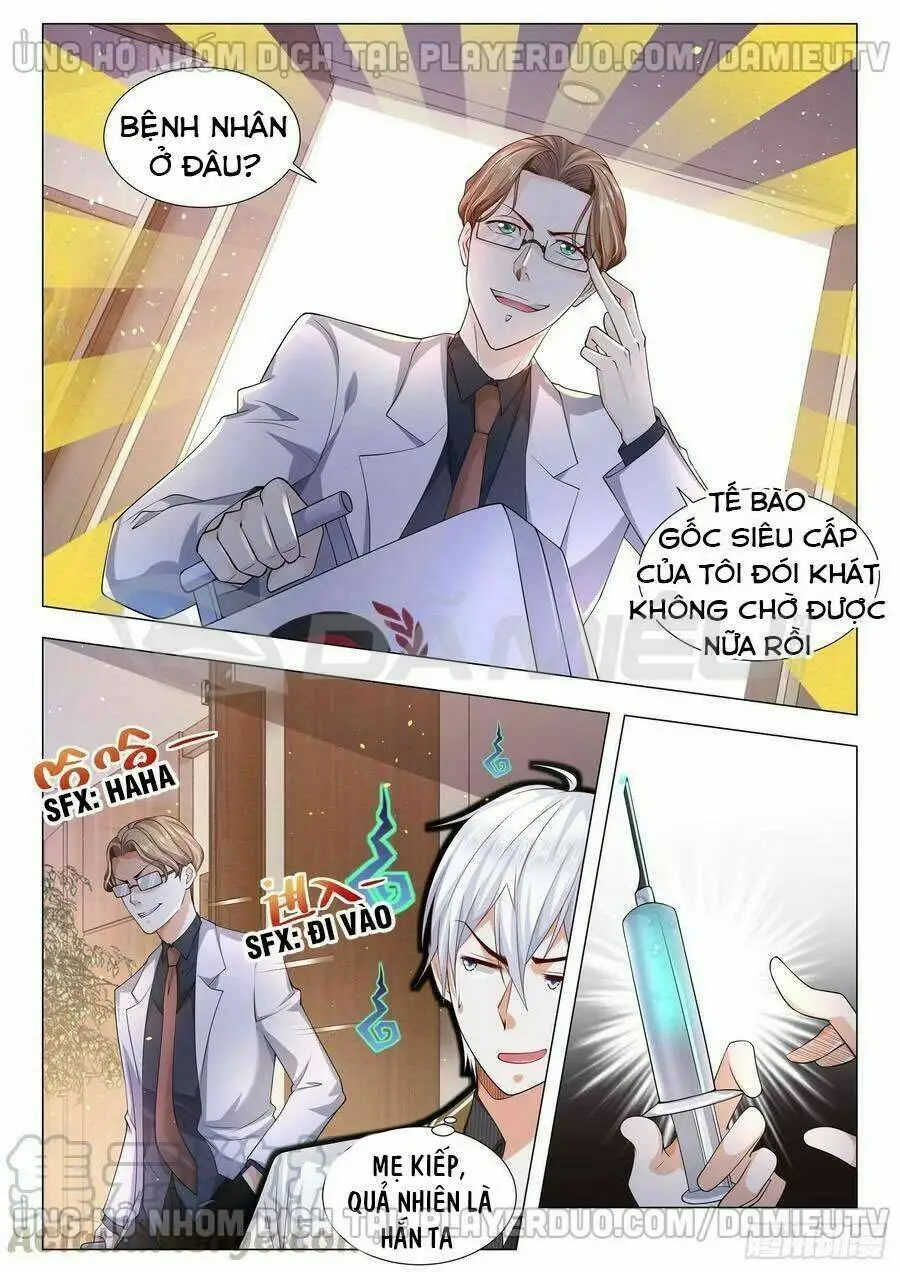 Chapter 142