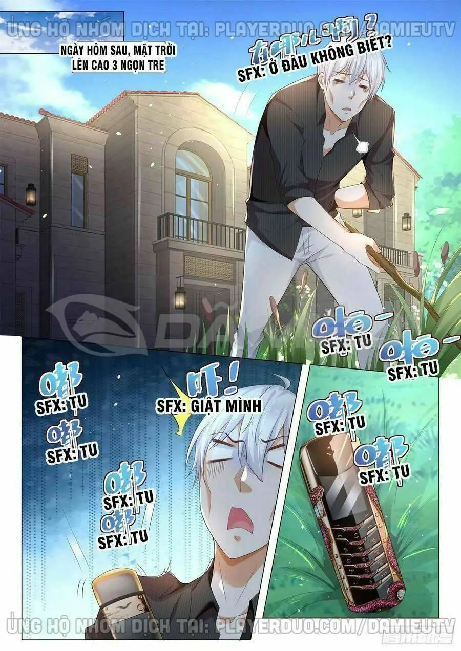 Chapter 141