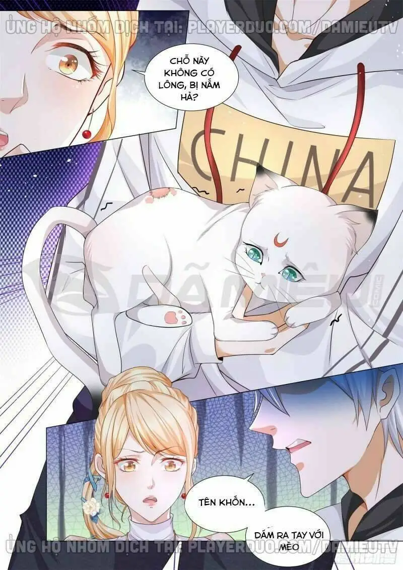 Chapter 116