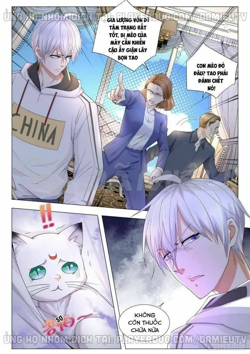 Chapter 116