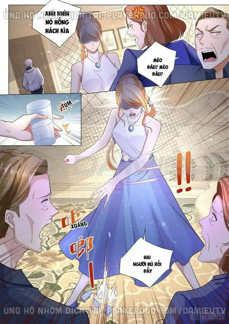 Chapter 116
