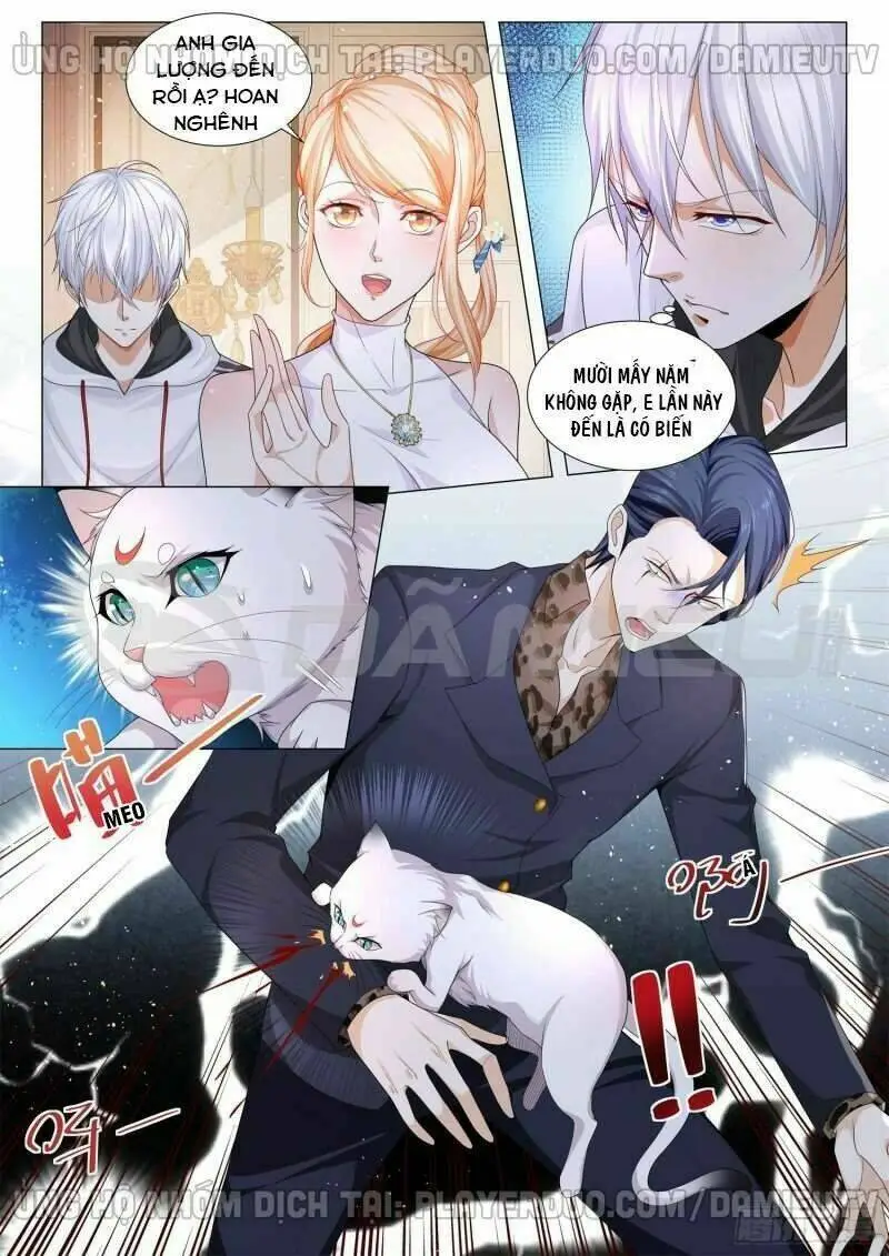 Chapter 114