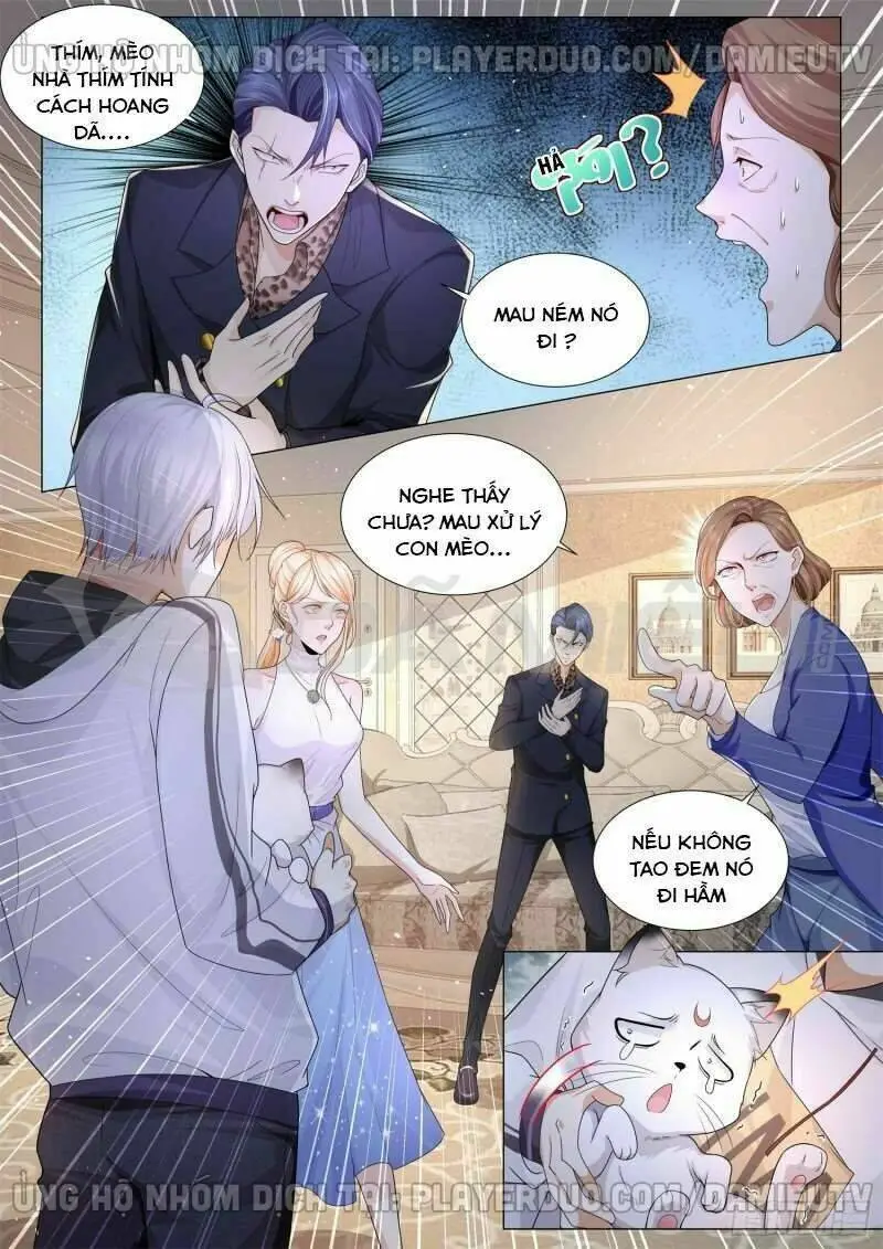 Chapter 114
