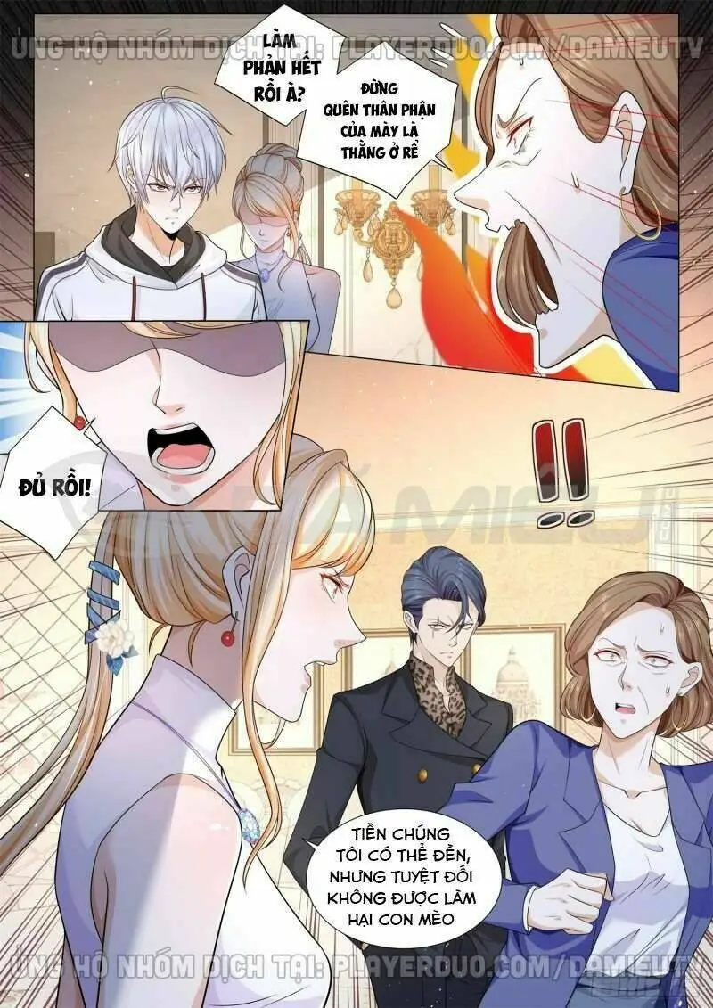 Chapter 114