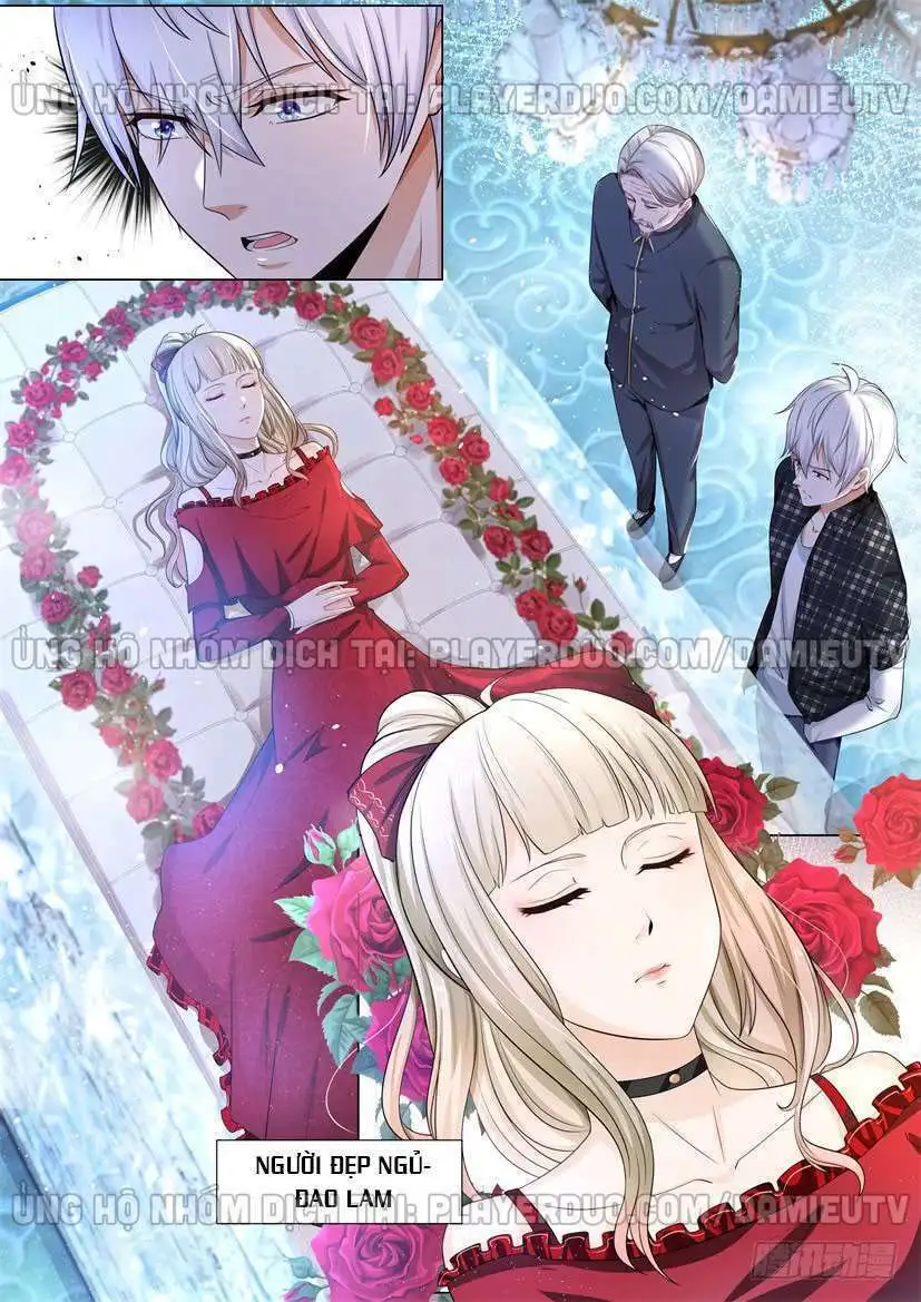 Chapter 52