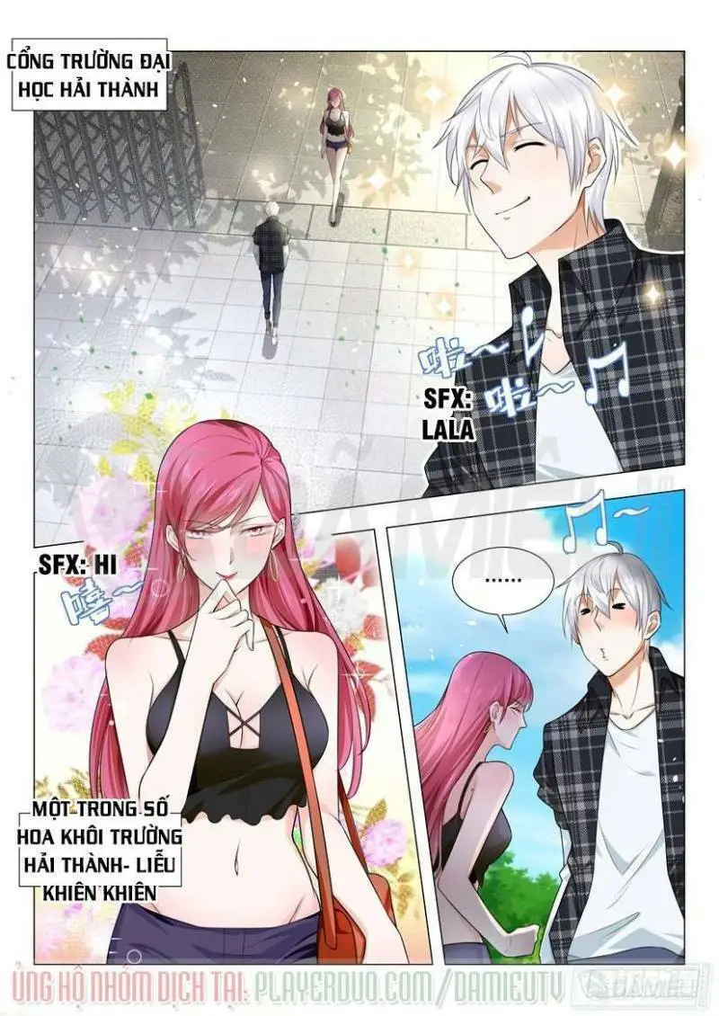 Chapter 33