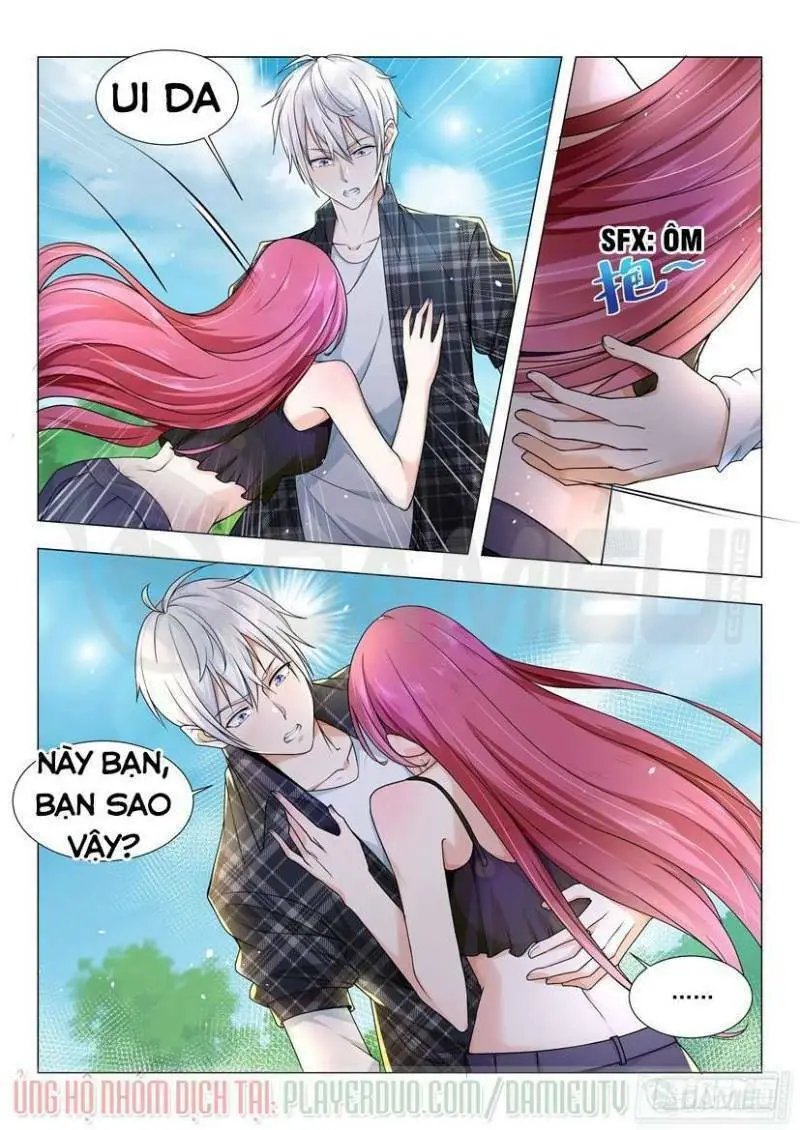 Chapter 33