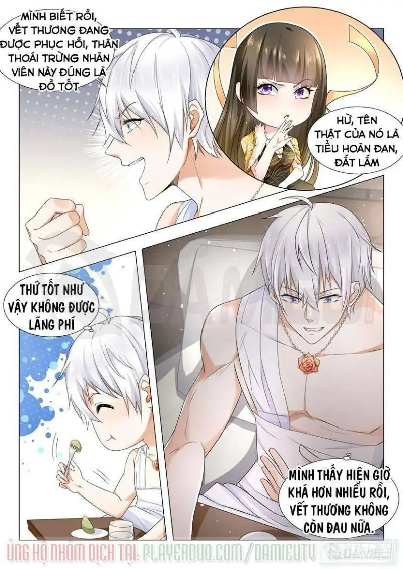 Chapter 31
