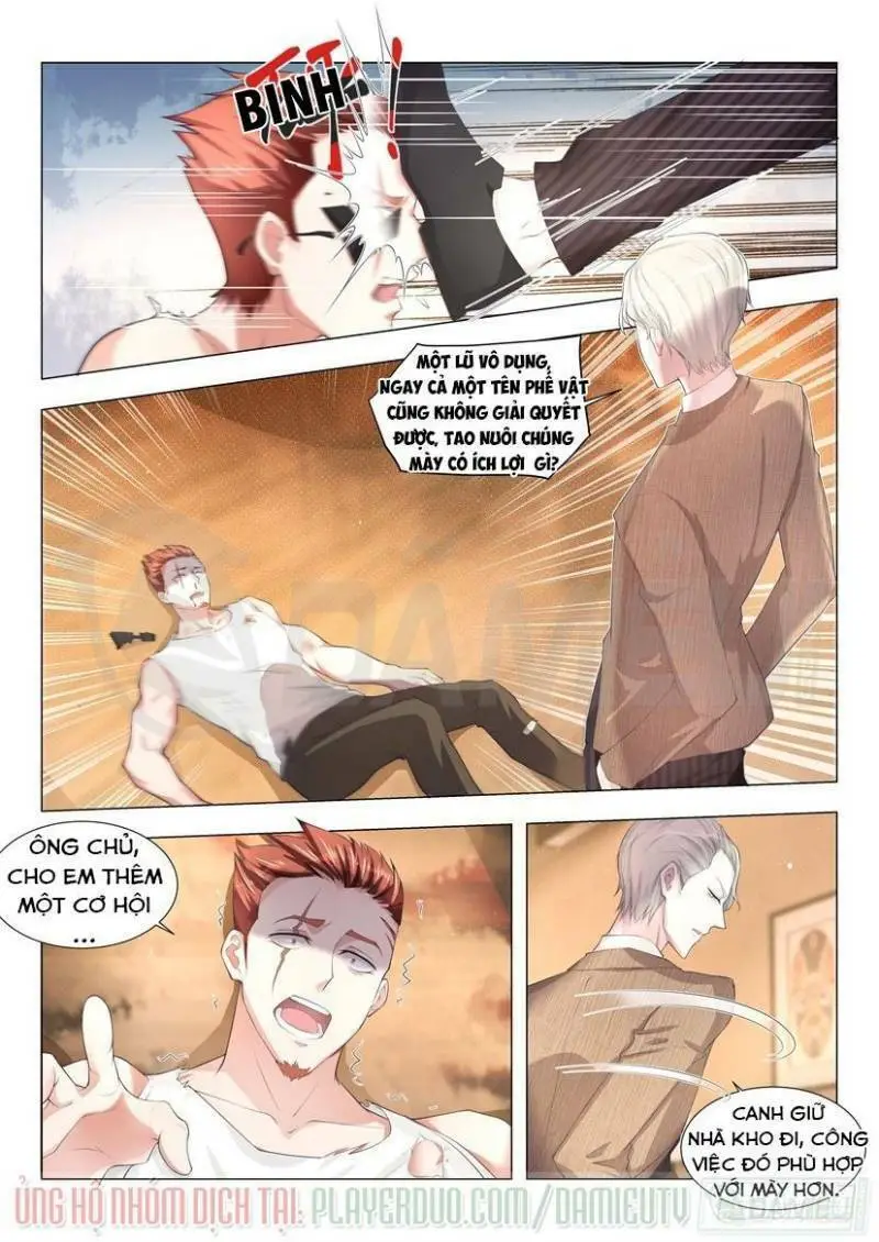 Chapter 8