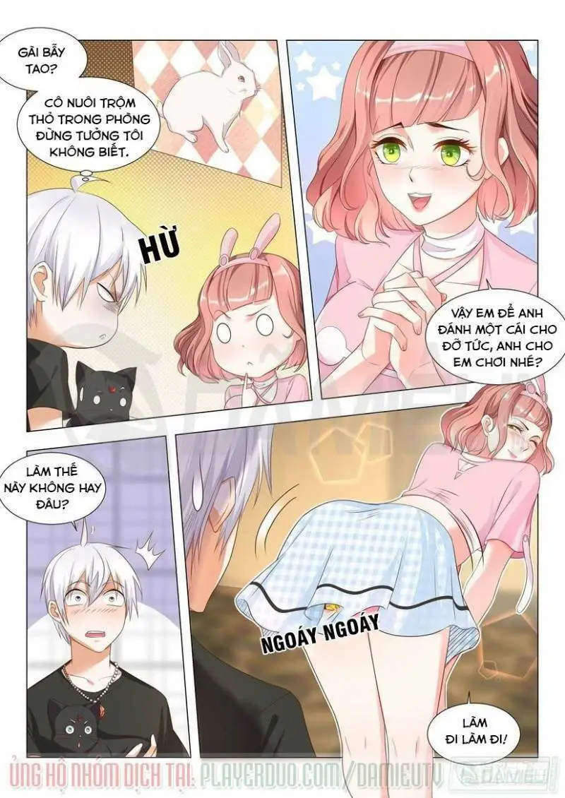 Chapter 8