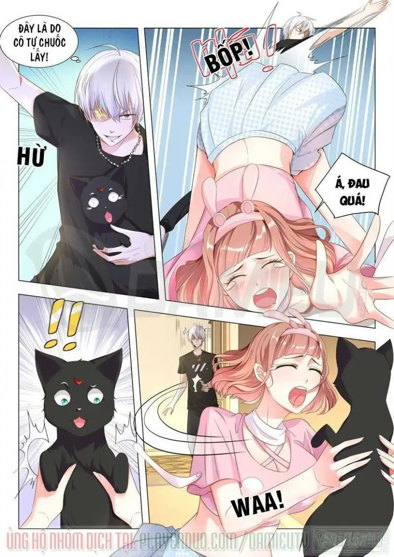 Chapter 8