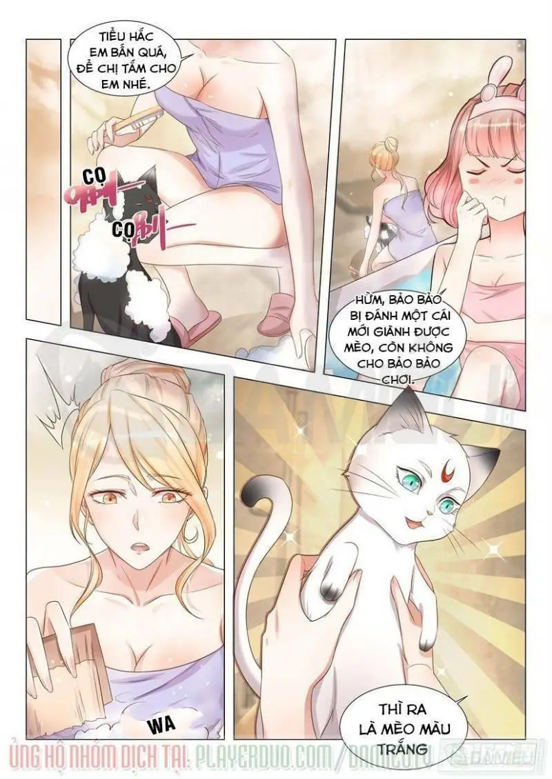 Chapter 8