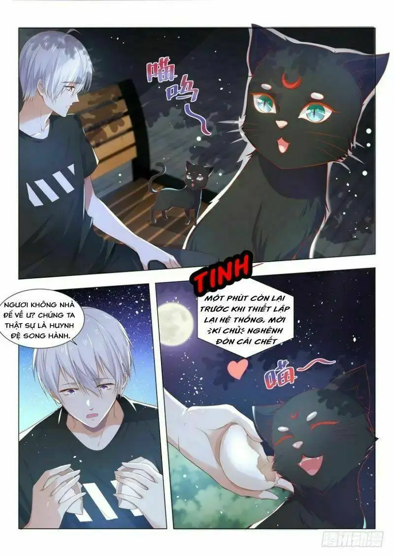 Chapter 4
