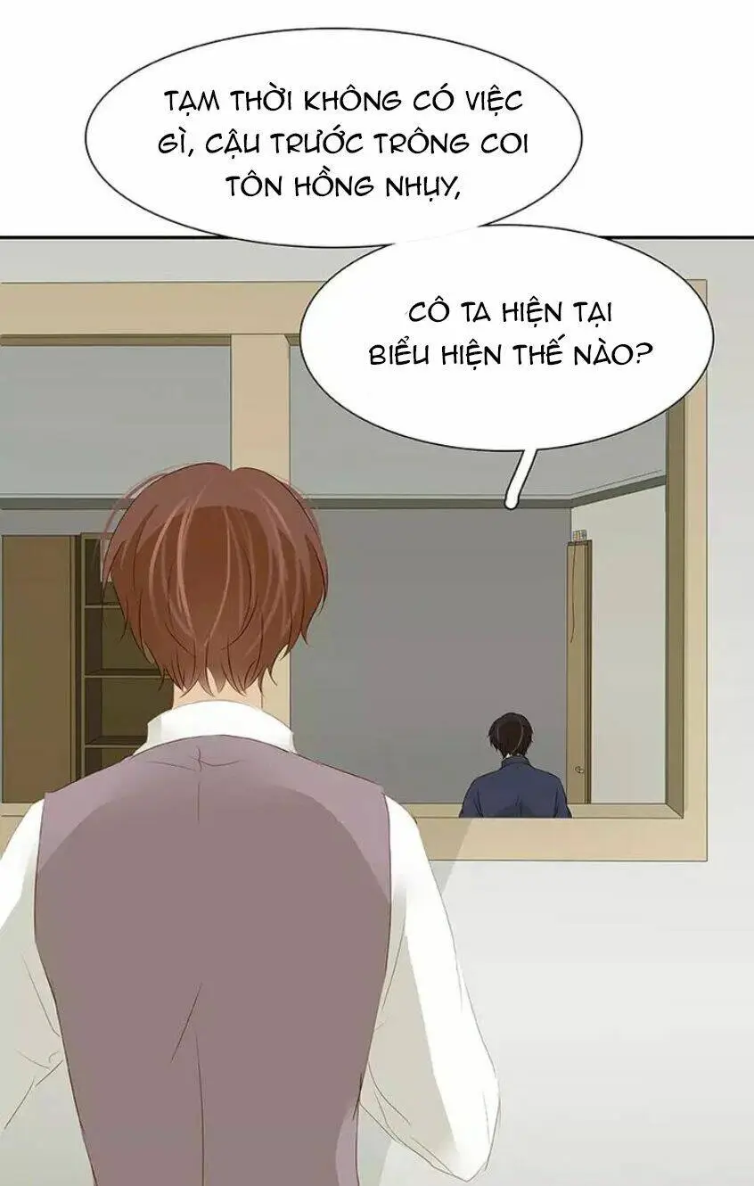 Chapter 23