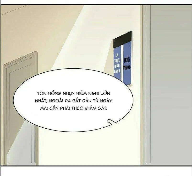 Chapter 20