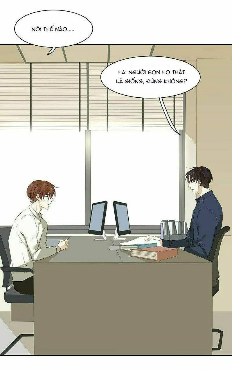 Chapter 20