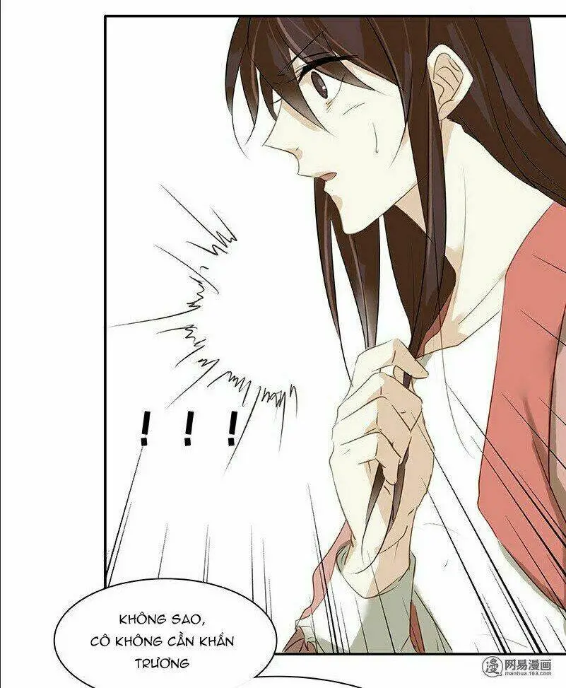 Chapter 20