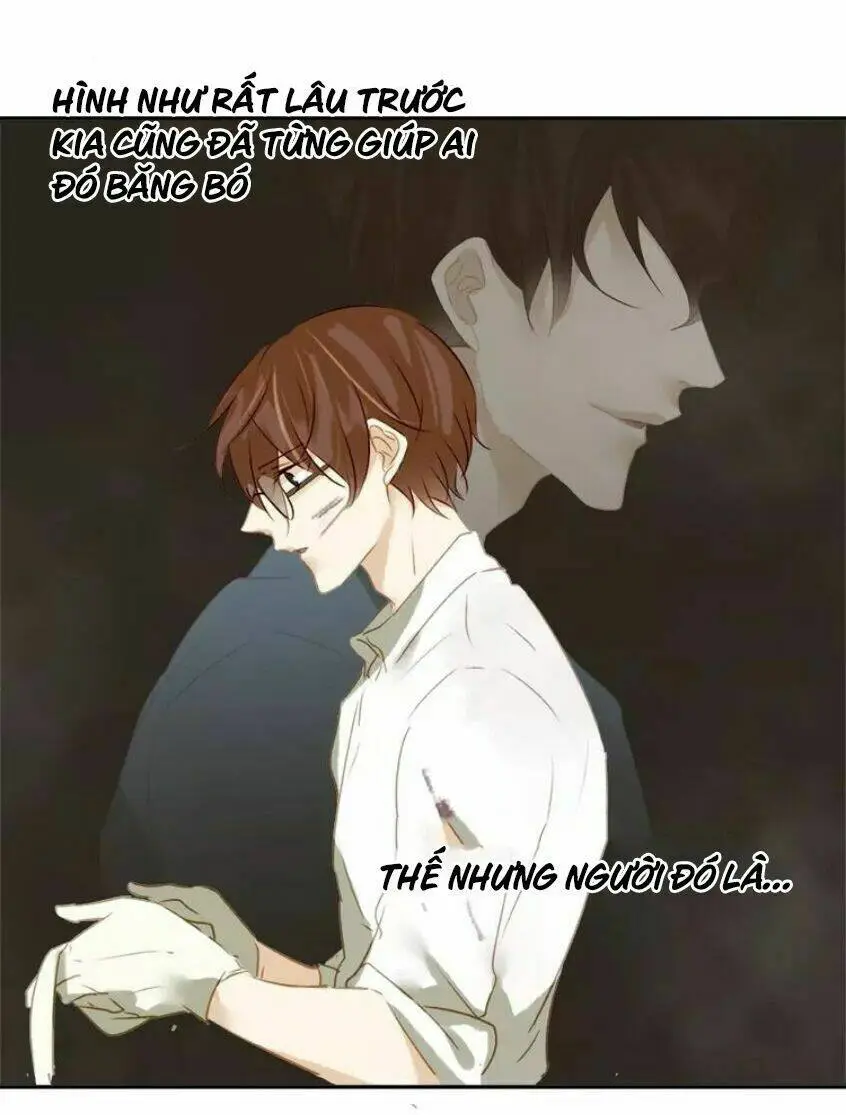 Chapter 19