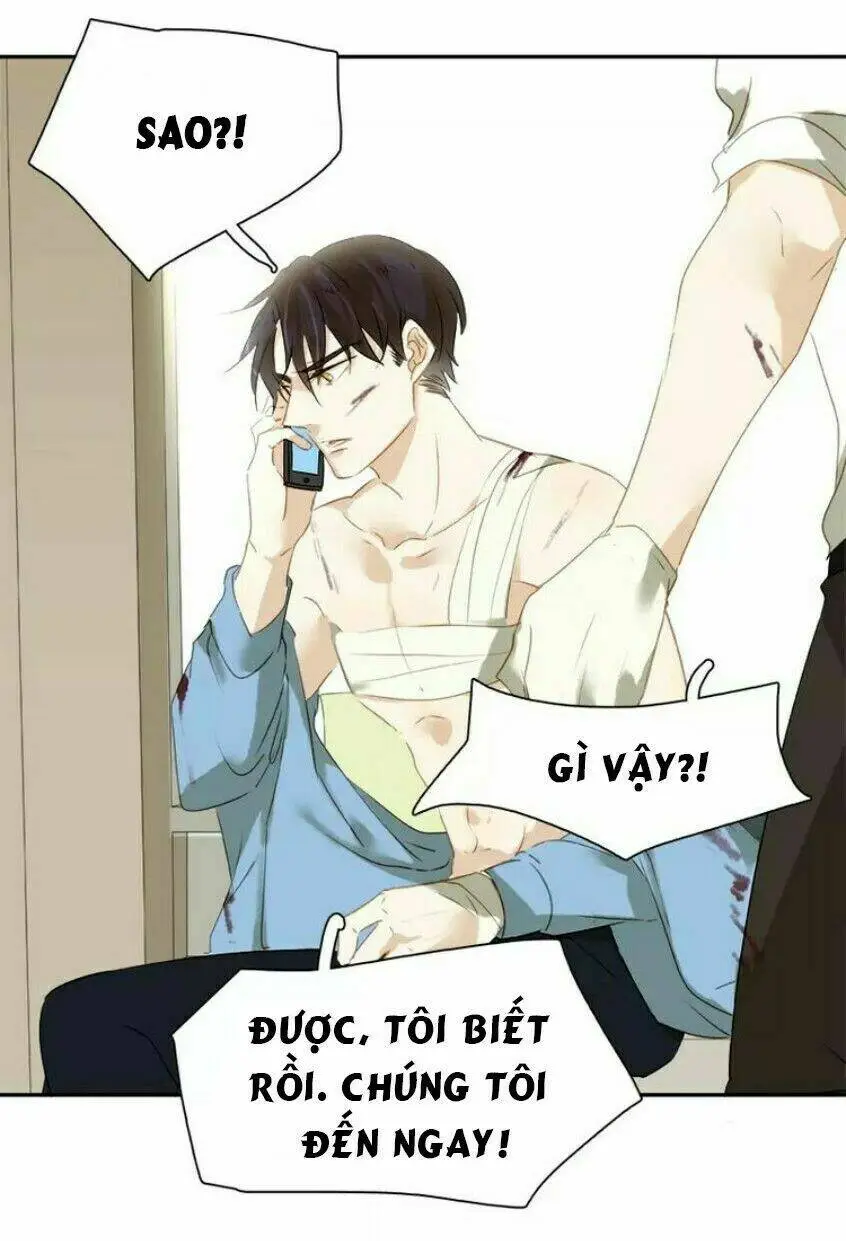 Chapter 19