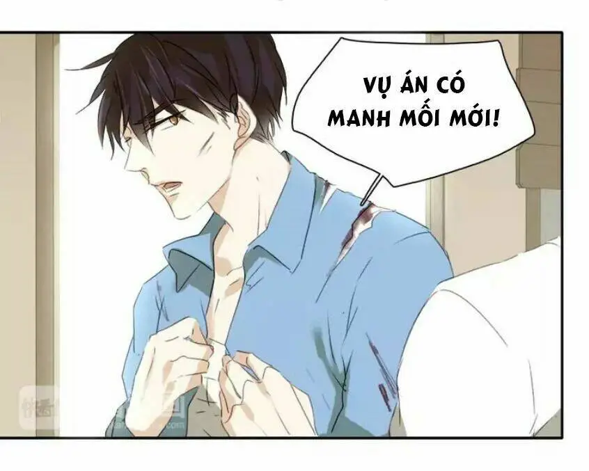 Chapter 19