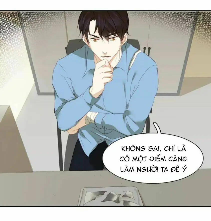 Chapter 19