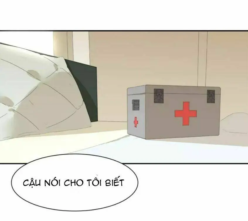 Chapter 19