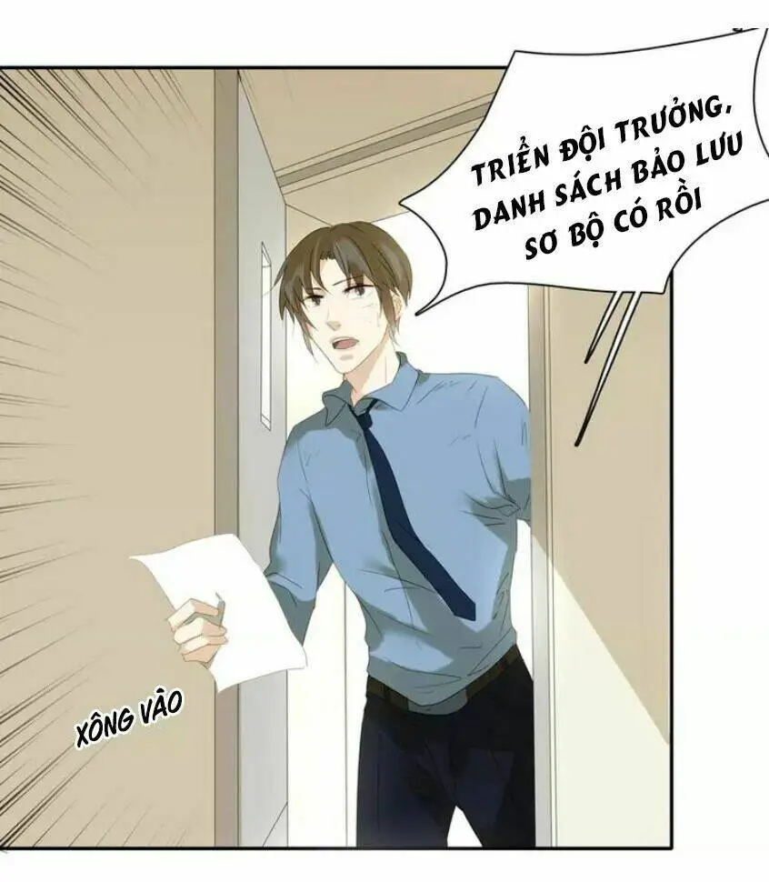 Chapter 19