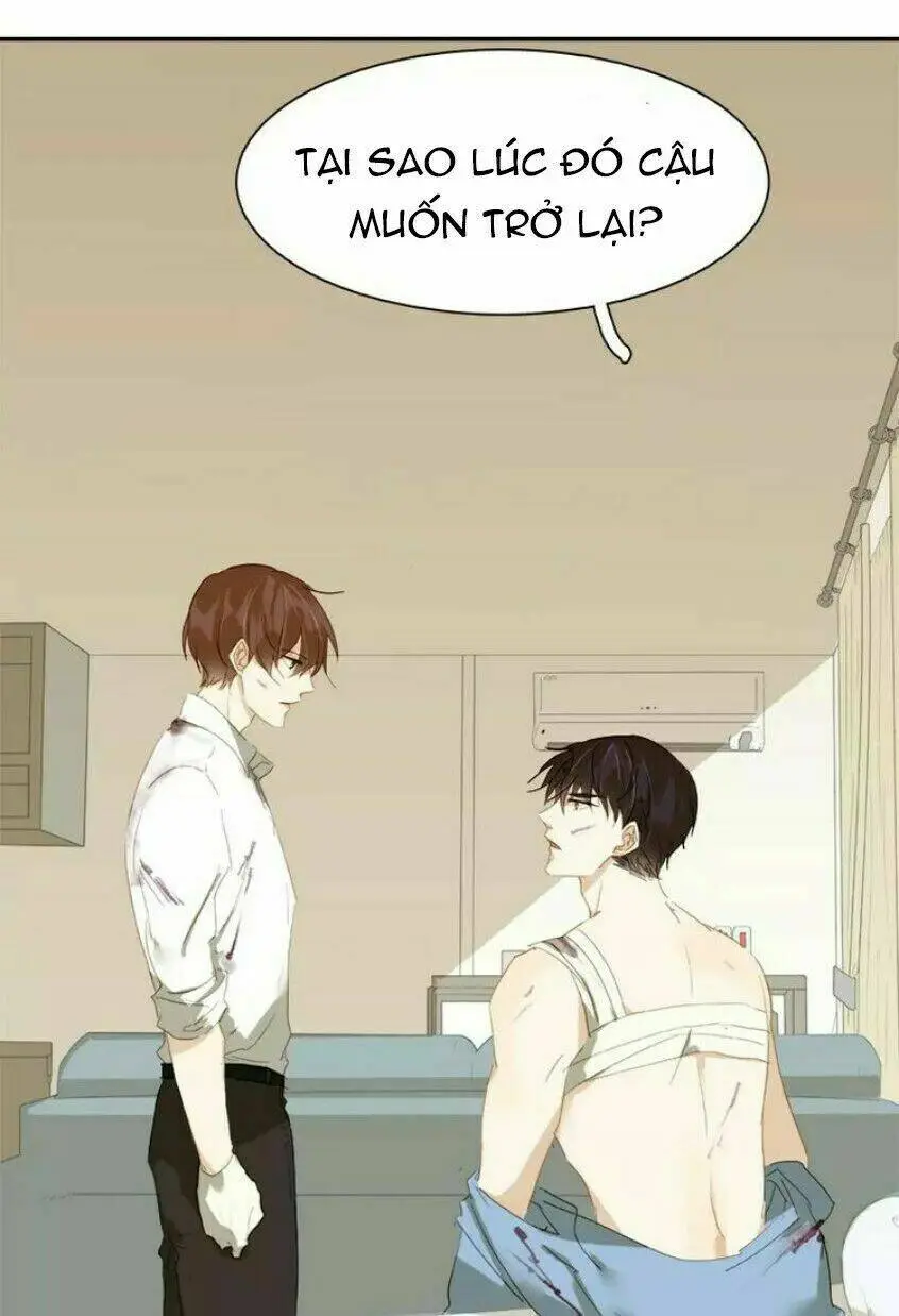 Chapter 19