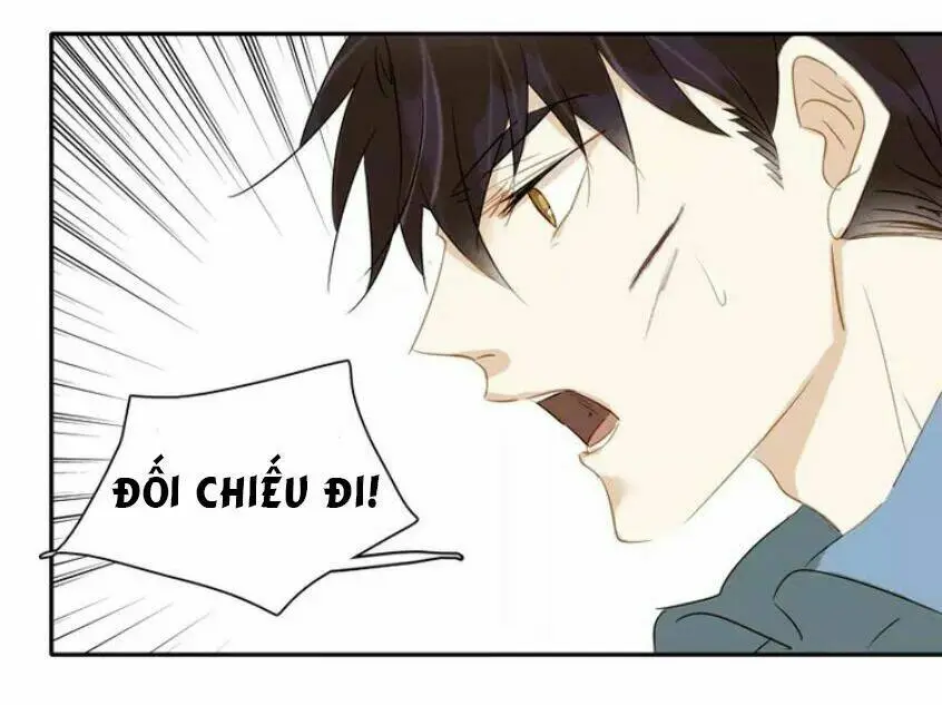 Chapter 19