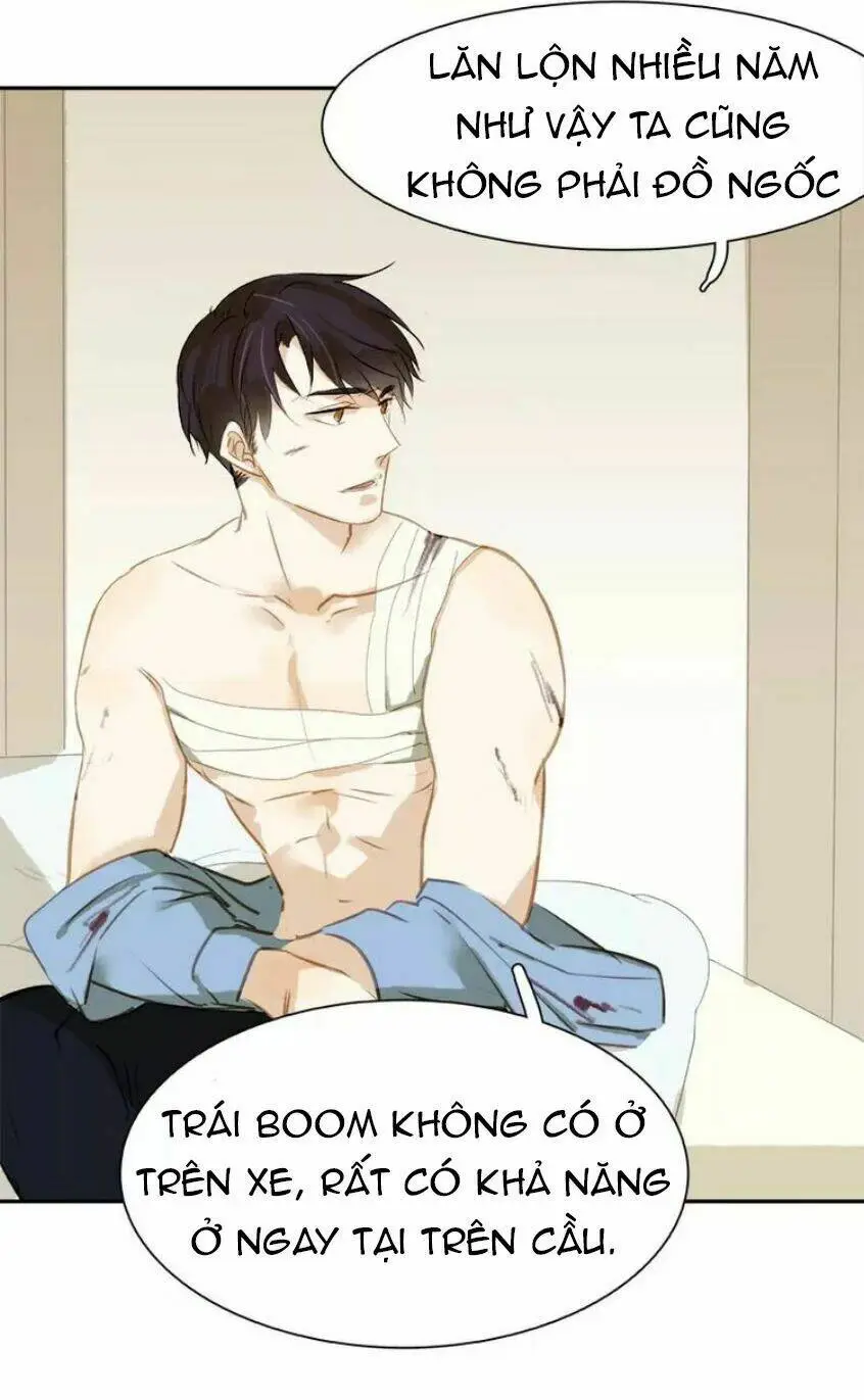 Chapter 19