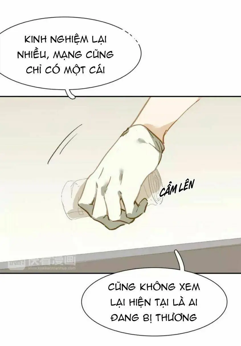 Chapter 19