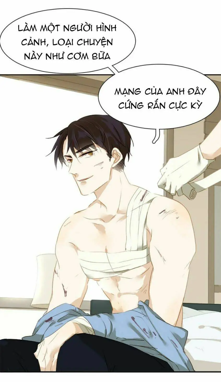 Chapter 19