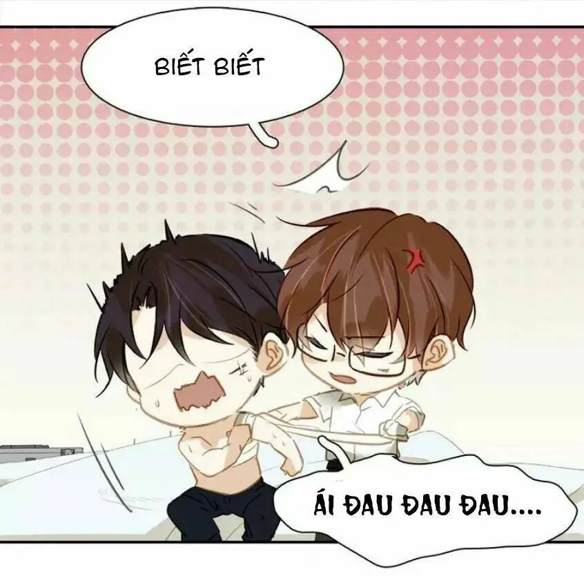 Chapter 19