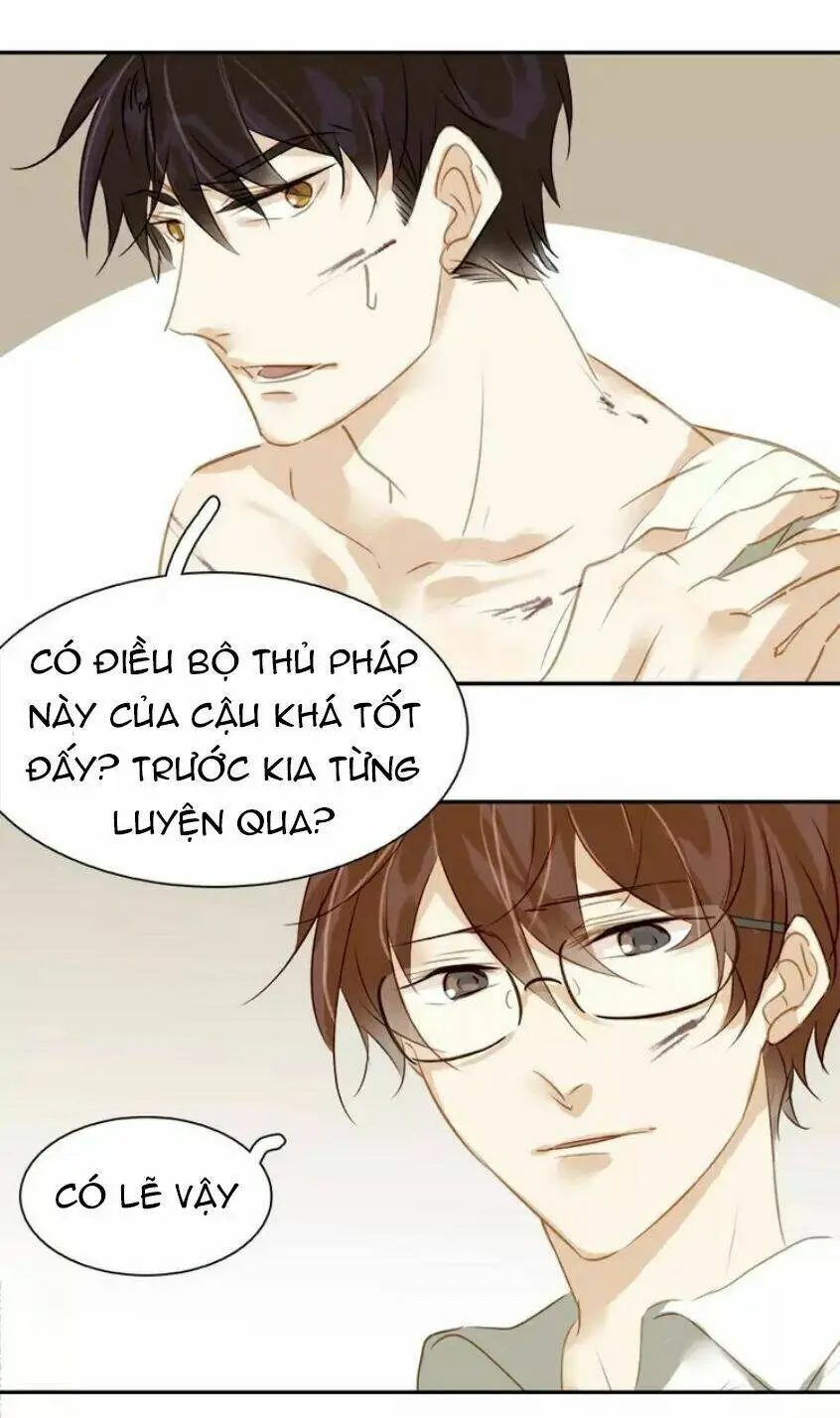 Chapter 19