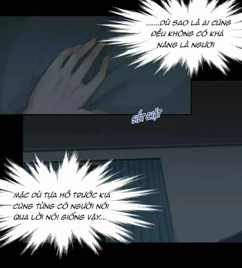 Chapter 12