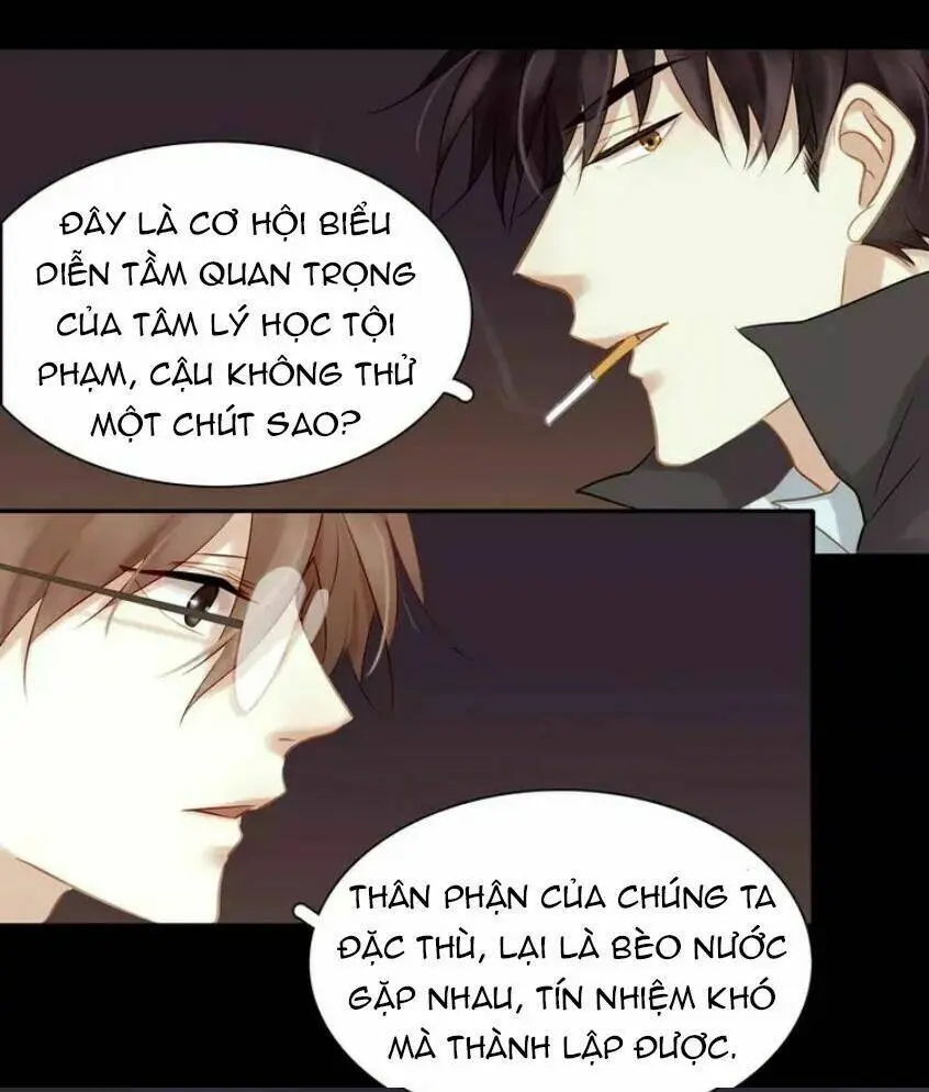 Chapter 11