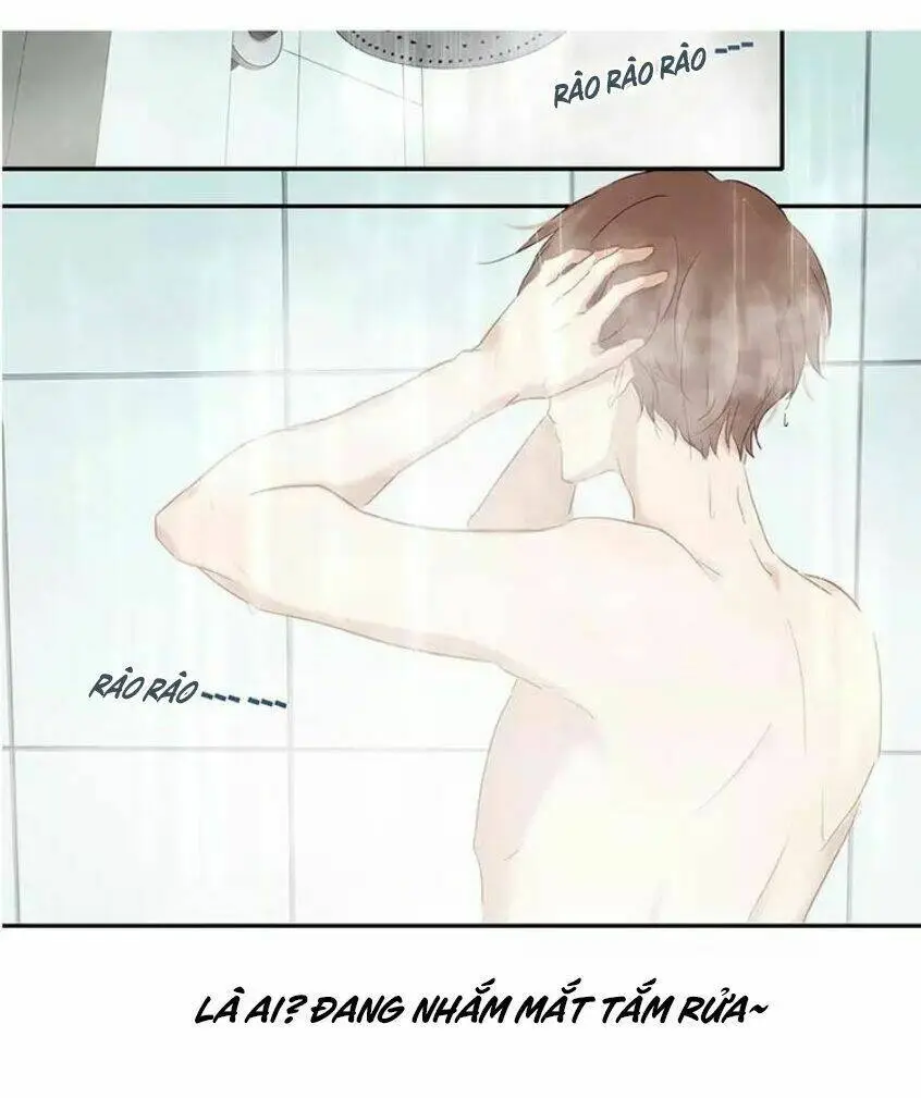 Chapter 11
